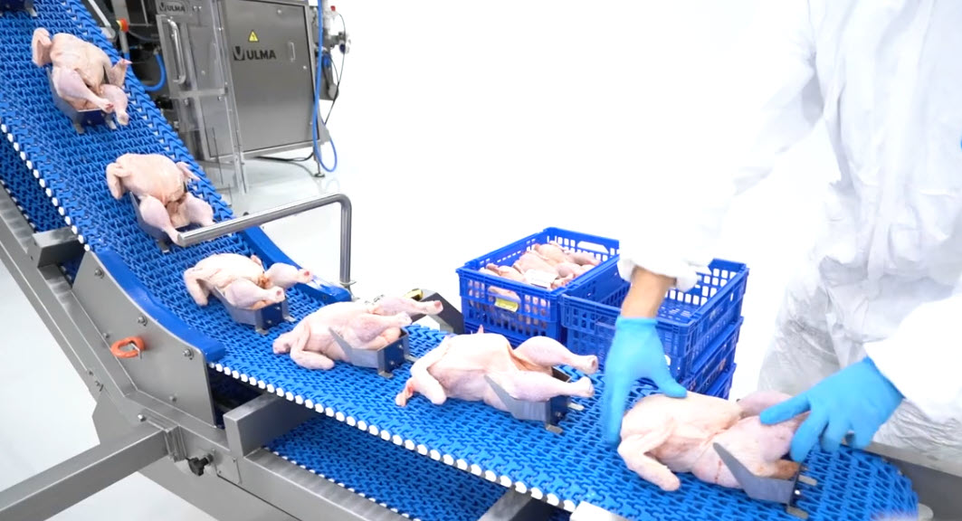 whole chicking packing line